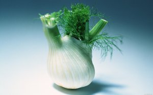缓存策略为什么突然火起来了